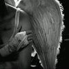 magicstudio746